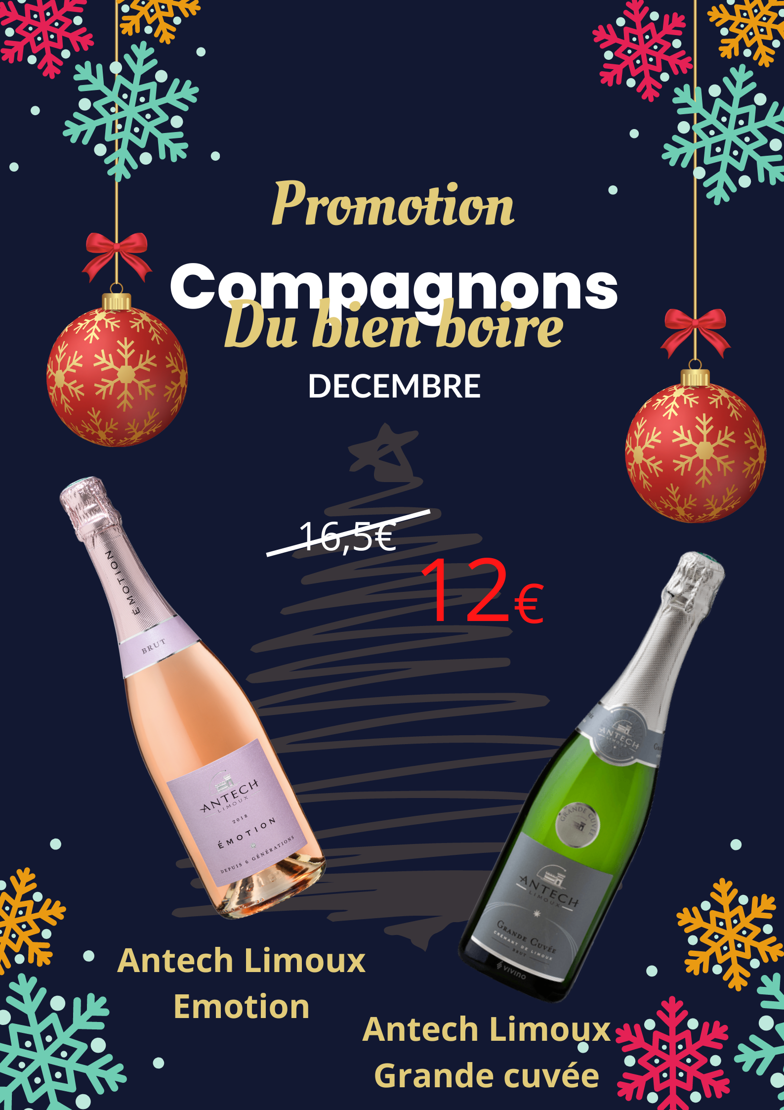 You are currently viewing Promotion du mois de Décembre 2022